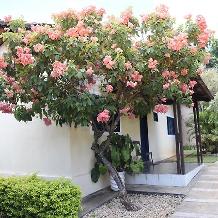 Rosa Spa E Pousada 아파레시다 지 고이아니아 외부 사진